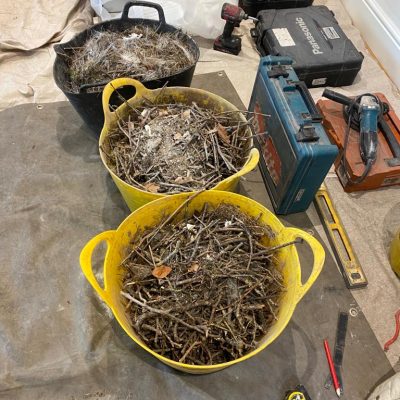 bird nest removal Cheshire chimney sweep
