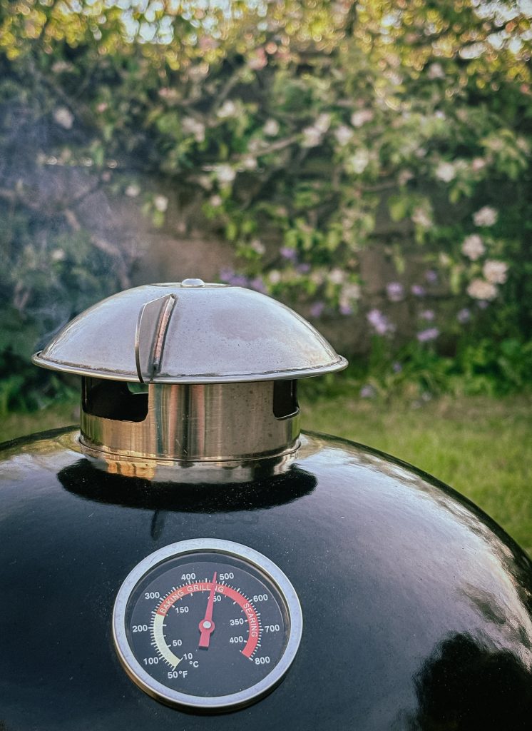 Salamanda - Cayuga BBQ